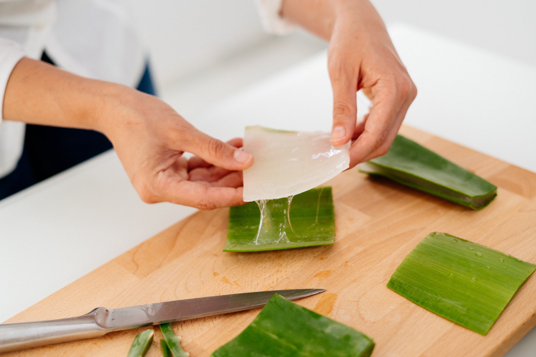 aloe vera